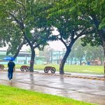 Dear Diary – October 29,2025